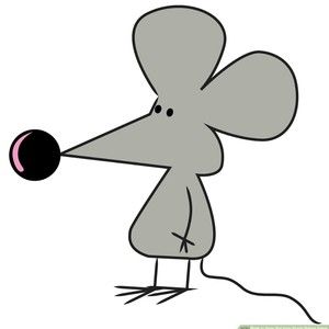 Meet your Posher, Reyna